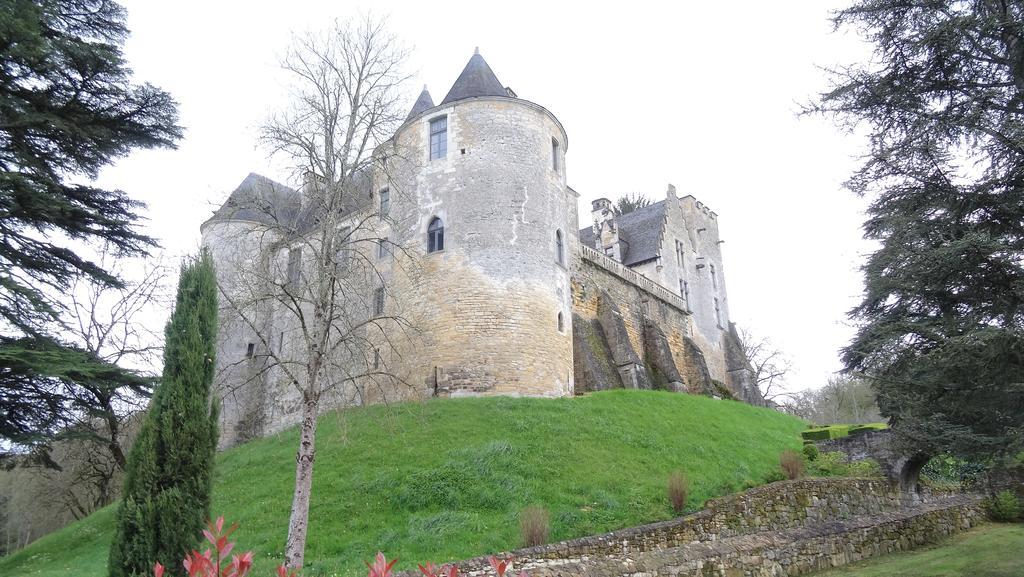 Terre D'Histoire - Baignade - Canoe - Piste Cyclable A 100 M Castelnaud La Chapelle Exterior foto